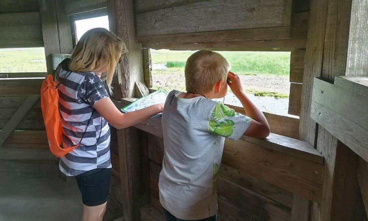 Chalet Op Camping Lauwersoog Met 3 Slaapkamers En Vaatwasser - Joycasa المظهر الخارجي الصورة