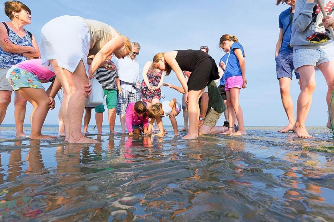 Chalet Op Camping Lauwersoog Met 3 Slaapkamers En Vaatwasser - Joycasa المظهر الخارجي الصورة