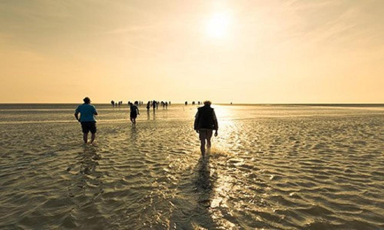 Chalet Op Camping Lauwersoog Met 3 Slaapkamers En Vaatwasser - Joycasa المظهر الخارجي الصورة